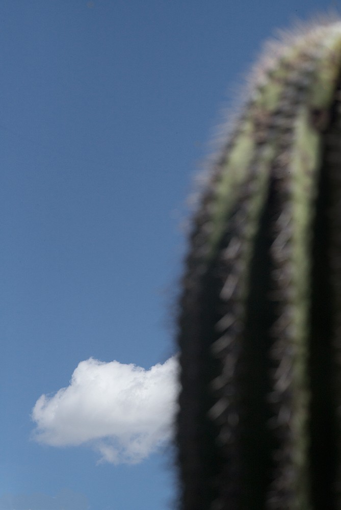 Vertical-Horizon_Cactus-Cloud